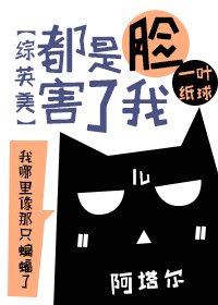 [综英美]都是脸害了我作者风华居