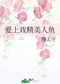 爱上人鱼的鲨鱼