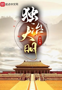 独治大明小说