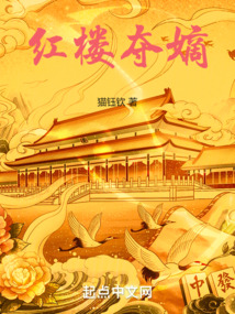 红楼夺嫡全本免费阅读小说