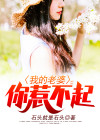 我的老婆你们惹不起小说下载