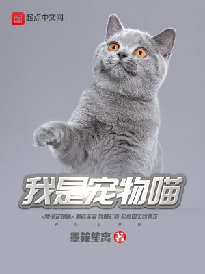 喵嘻嘻宠物