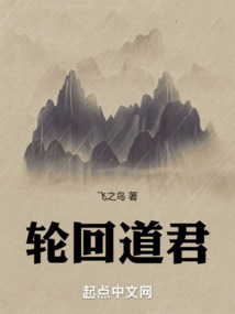 轮回道君无防盗