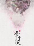 新壶中天歌词