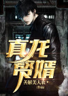 真龙赘婿方正免费阅读全文