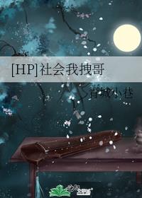 社会我哥出处