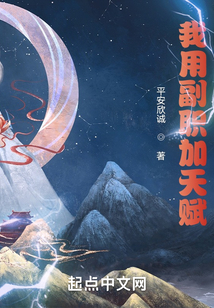 我用副职加天赋TXT免费下载