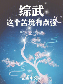 综武:这个苦境有点强下载