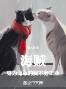 海贼:身为海军的我不务正业 小说