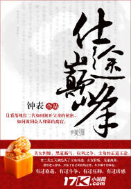 仕途巅峰王天成免费阅读全文4
