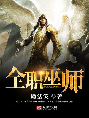 全职魔法师百度百科