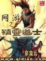 网游之精灵道士TXT下载