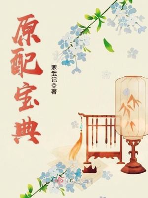 原配宝典全文阅读 免费