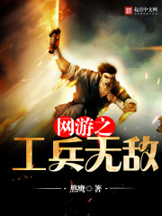 网游之佣兵工作室全本