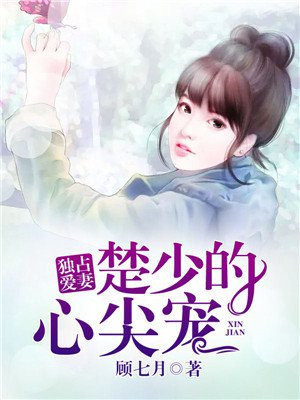 独占爱妻,叶少的心尖宠
