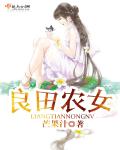 农村良田