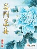 名门正妻讲了什么