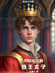 我在法兰西当王太子123