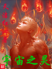 宇宙之灵小说