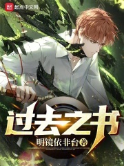 过去进行书