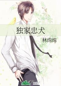 独家忠犬沈宁小说免费阅读全文