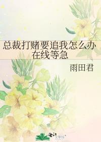 总裁打赌要追我怎么办在线等急好看吗