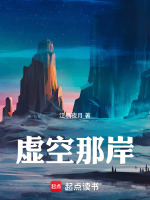 虚空那岸小说