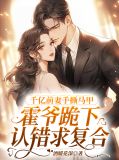 千亿前妻手撕马甲,霍爷跪下认错求复合