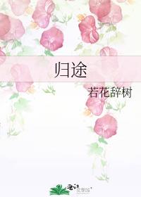 归途24小时破解版