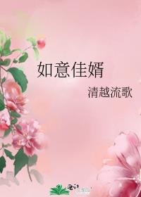 如意佳婿无防盗章
