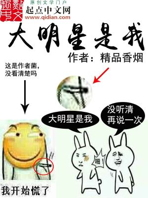 大明星是我免费阅读