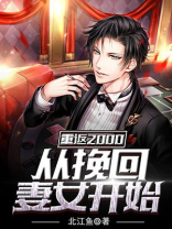 重返2000从挽回妻女开始免费阅读