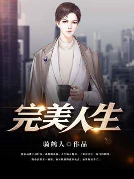 完美人生在线阅读
