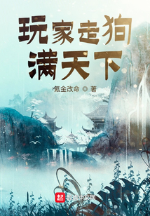 玩家走狗满天下女主角叫什么