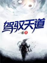 驾驭天道小说