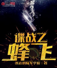 谍战之蜂飞创作时间