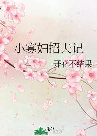 寡妇门前桃花多小说全文免费