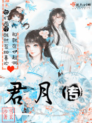 君月传煤