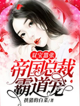 一胎双宝总裁别太霸道