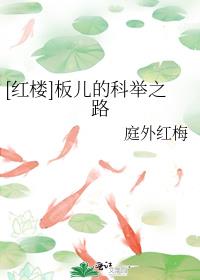 [红楼]板儿的科举之路 小说