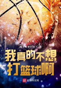 我真的不想打职业 小说