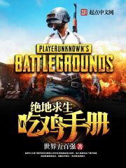 绝地求生单机版吃鸡