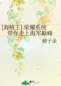 海贼:王者荣耀系统