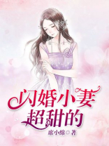 闪婚宠妻小说