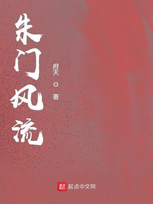 朱门风流小说