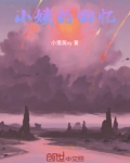 小姨的回忆