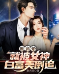 刚离婚,就被女神白富美倒追