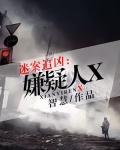 迷案追凶：嫌疑人X