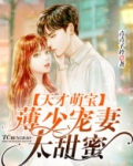 天才萌宝,薄少宠妻太甜蜜