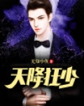 天降狂少 
